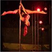Personal Trainer e Instructora de Musculación. Instructora de Pole Sport nivel inicial e intermedio