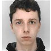 Professeur particulier pour enseigner l'anglais à des élèves de tout niveaux jusqu'au lycée