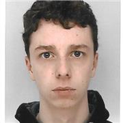 Professeur particulier pour enseigner l'anglais à des élèves de tout niveaux jusqu'au lycée