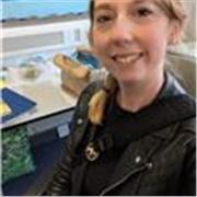 I've been a teacher for over 15 years in Further Education and special needs. I'm friendly and knowledgeable. 