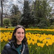 Preparación particular para exámenes de inglés tipo IELTS y TOEFL (nivel académico)