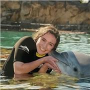 Studentessa di 5 liceo scientifico, appena rientrata dall’anno all’estero, offre lezioni/ripetizioni/aiuto di inglese