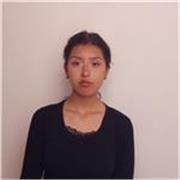 Tutor de apoyo escolar especializado en Matemáticas Básicas para primaria bachillerato y preuniversitario