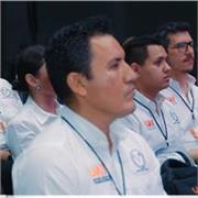 Docente, Programador e Investigador