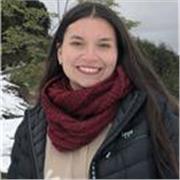 Profesor particular de lenguaje y matemáticas presencial/ online