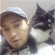 Dibujante Escenógrafo profesional