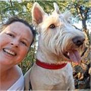 TEFL (teach English as a foreign language) level 3 qualified teacher 