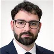 Corrección y apoyo metodológico de trabajos, TFGs, TFMs y preparación de exámenes