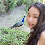 Chuqi