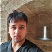 Private tutor for maths, physics, and Spanish