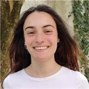 Cours de Français tous niveaux en ligne