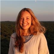 Privater Französischlehrer bietet Online-Nachhilfe an