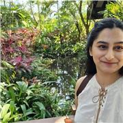 I teach Maths and sciences at GCSE or below, having done these until A-Level myself.