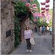 Offro insegnamento e sostegno nelle materie umanistiche : italiano storia geografia latino greco