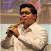 Profesor de Educacion Musical, con mencion en direccion coral y banda instrumental