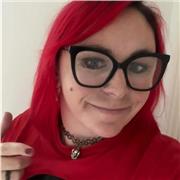 I am an experienced author. My lessons would be aimed at those preparing for English exams.