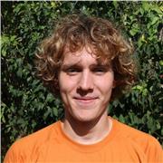 Professeur particulier de violon pour tout les niveaux