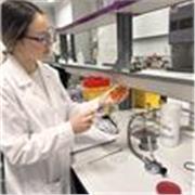 PROFESORA PARTICULAR PRIMARIA/ESO. Matemáticas, inglés, Física y química, biología…