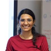 Accessible and Fluent English - for everyday conversations and exams