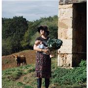 Doy clases artísticas en ingles, español, aleman y neerlandés