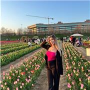 Aiuto compiti! (No matematica per le medie !)