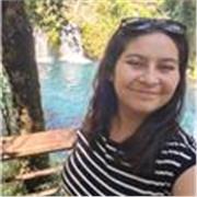 Profesor de inglés para Enseñanza Básica, media y universitaria