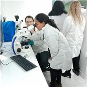 Profesor de apoyo para clases particulares de Química inorgánica