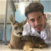 Laureato in Scienze Veterinarie, offre lezioni personalizzate di materie scientifiche (biologia, chimica, scienze). 