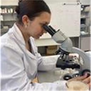 Paula Lancha Mendieta