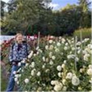 Improve your English with me and become a World Native - Online Coaching