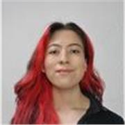 Maestro de Literatura para preparatoria y adultos