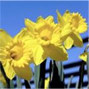 Clases particulares de filosofía y literatura