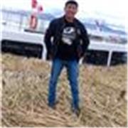 Profesor de informática, computación y gastronomía