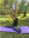 Clases online de Hatha Yoga