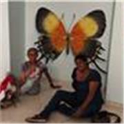 Capacitacion en Sistemas, Office
