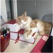 Professeurs particulier diplômée d’un master de droit et préparant l’examen d’entrée à l’école d’avocats :)