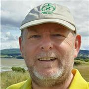 Experienced tutor - all ages / levels of experience