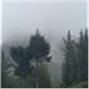 Clases de literatura, lenguaje, comunicación comprensión lectora y más