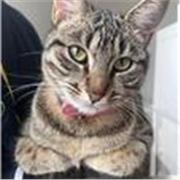 Soutien scolaire matières générales primaire