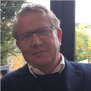 Profesor nativo de inglés