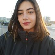 Profesor de primaria y E.S.O. de todas las materias, sobre todo las de Humanidades.