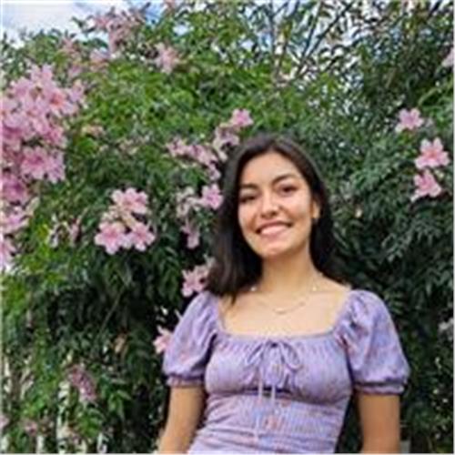 user photo