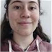 Profesor de inglés para clases de apoyo principalmente