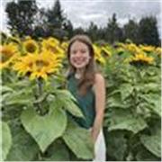 Profesor virtual de matemáticas básicas