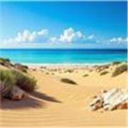 Cours particuliers de SVT pour collégiens et lycéens en ligne, avec une approche claire et adaptée à chaque élève.