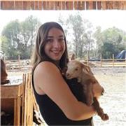 Estudiante de Veterinaria imparte clases de Matemáticas para alumnos que cursen primaria o la ESO