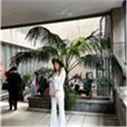 Impara l’italiano con un’insegnante madrelingua, in modo facile e divertente! ☀️