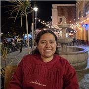 Clases particulares de Matemáticas para todos los niveles en modalidad virtual