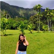 Doy clases particular de cualquier asignatura de primaria, ESO y de bachillerato científico-tecnológico (matemáticas, física y química)