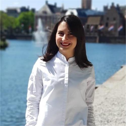 Api Anisa Experience As Informatics Teacher For Primary School Children. Anisa Omeri